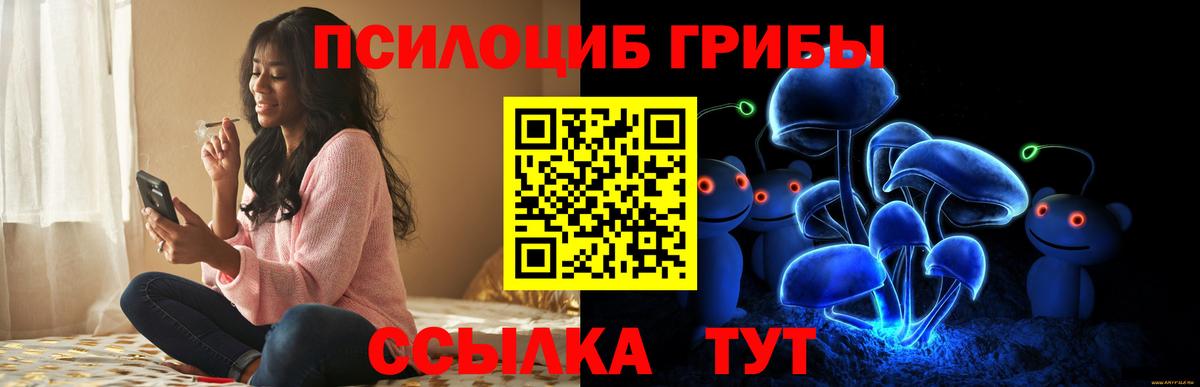 Галлюциногенные грибы Cubensis Астрахань