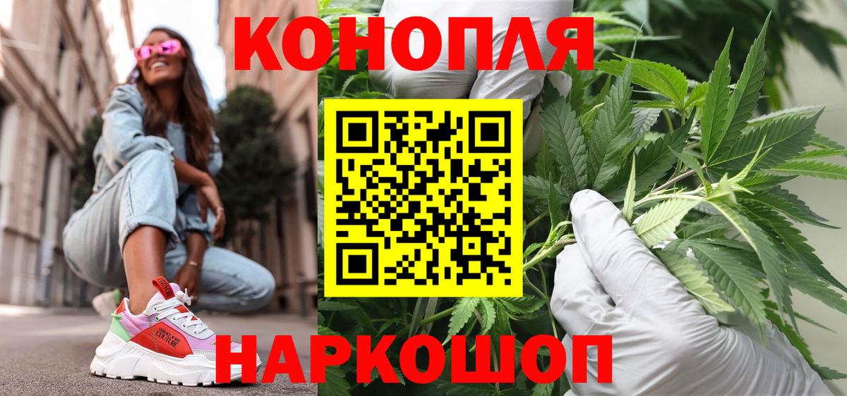 Канабис OG Kush Астрахань